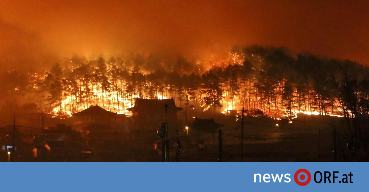 Riesiger Waldbrand: Nationaler Notstand in Südkorea ausgerufen