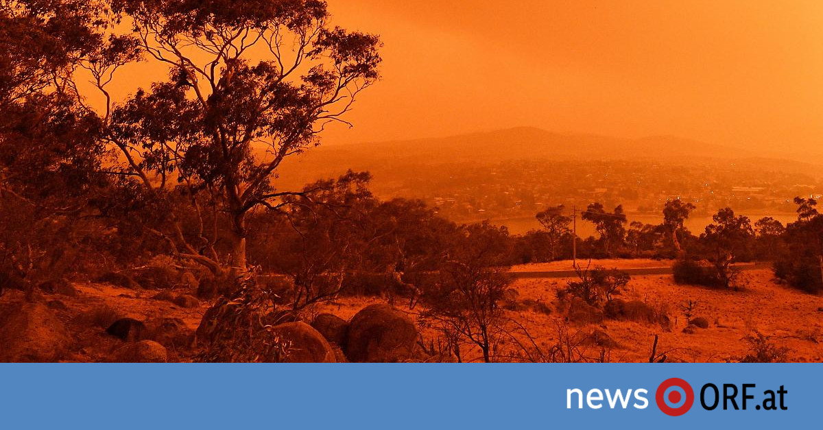 Buschbrände in Australien: Für Regierung kein Konnex zu Klimakrise