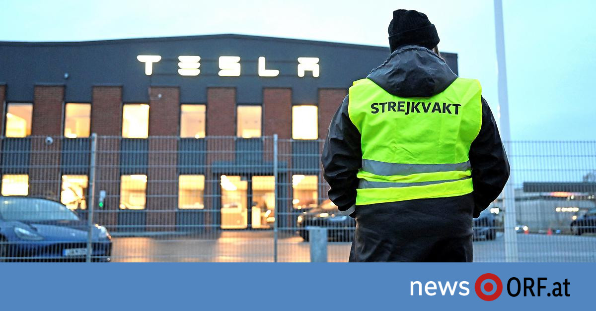 Keine Reinigung, keine Post: Schwedens Arbeiter boykottieren Tesla
