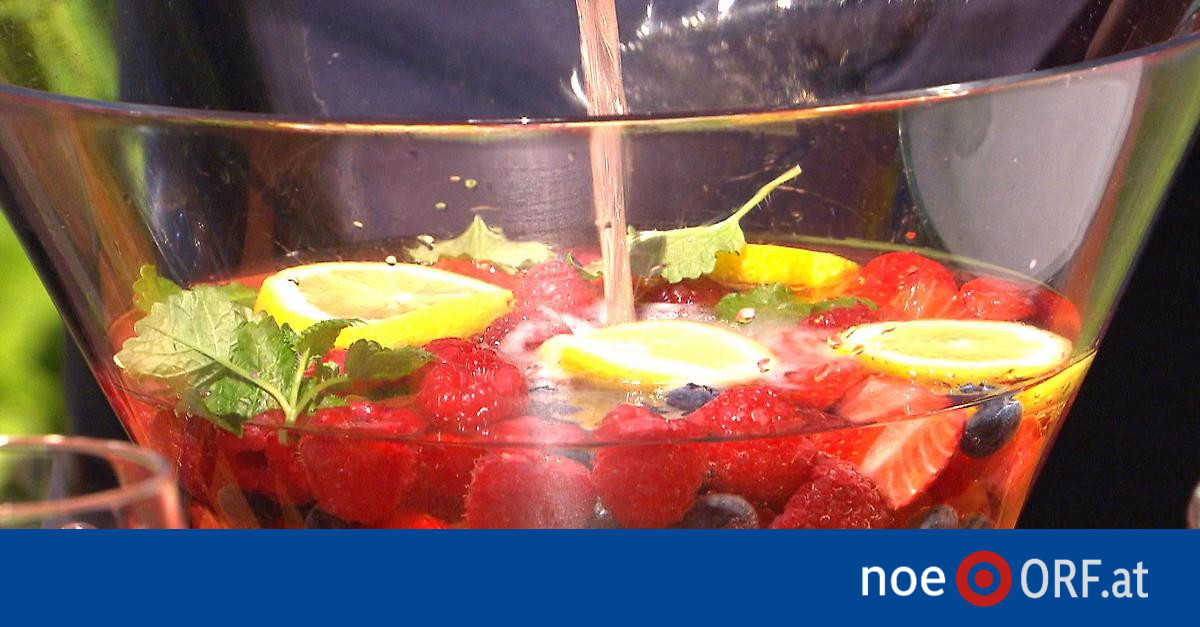 Köstliche Sommerbowle mit Früchten - noe.ORF.at - NÖ Lifestyle