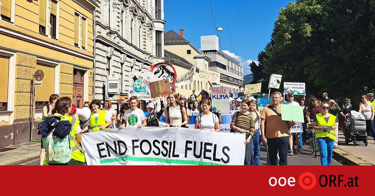 „Fridays For Future“-Demo in Linz