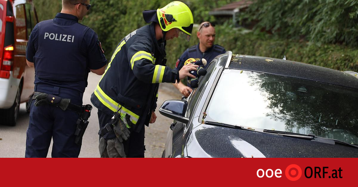 Two Children Rescued from Hot Cars in Upper Austria: A Dangers of Heatwave Chronicle