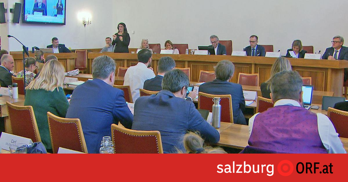 Gemeinderat: SPÖ als einzige Fraktion gegen S-Link