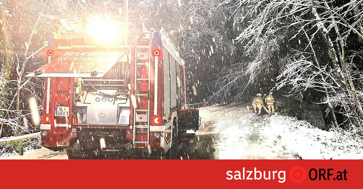 02. Dezember 16:31 - Schnee: Hunderte Einsätze, Bahnsperre