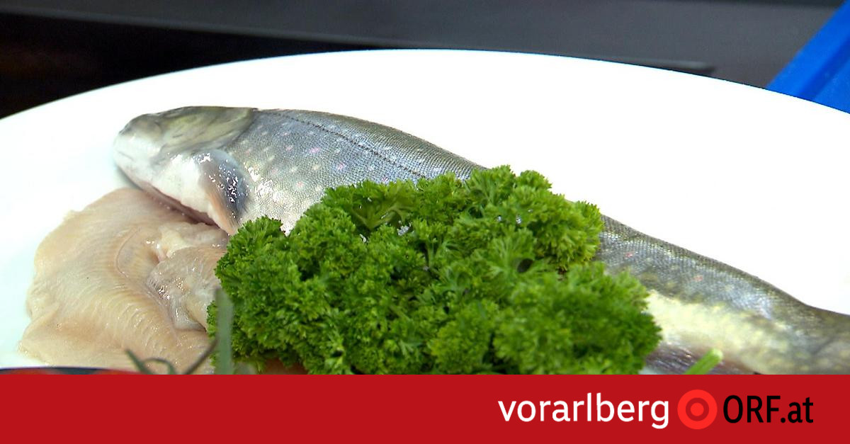 Bachsaibling-Filet in Kräuterkruste - vorarlberg.ORF.at - Vorarlberg Heute