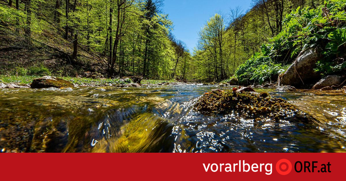Climate change: mountain rivers are getting warmer – vorarlberg.ORF.at