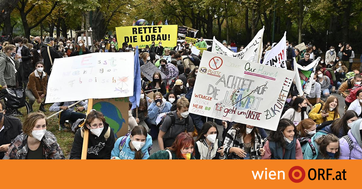 Rege Teilnahme am Klimastreik in Wien